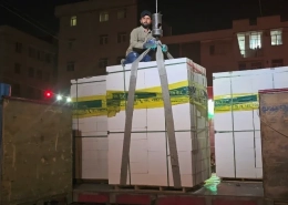 در طبقات گذاشتن پالت هبلکس